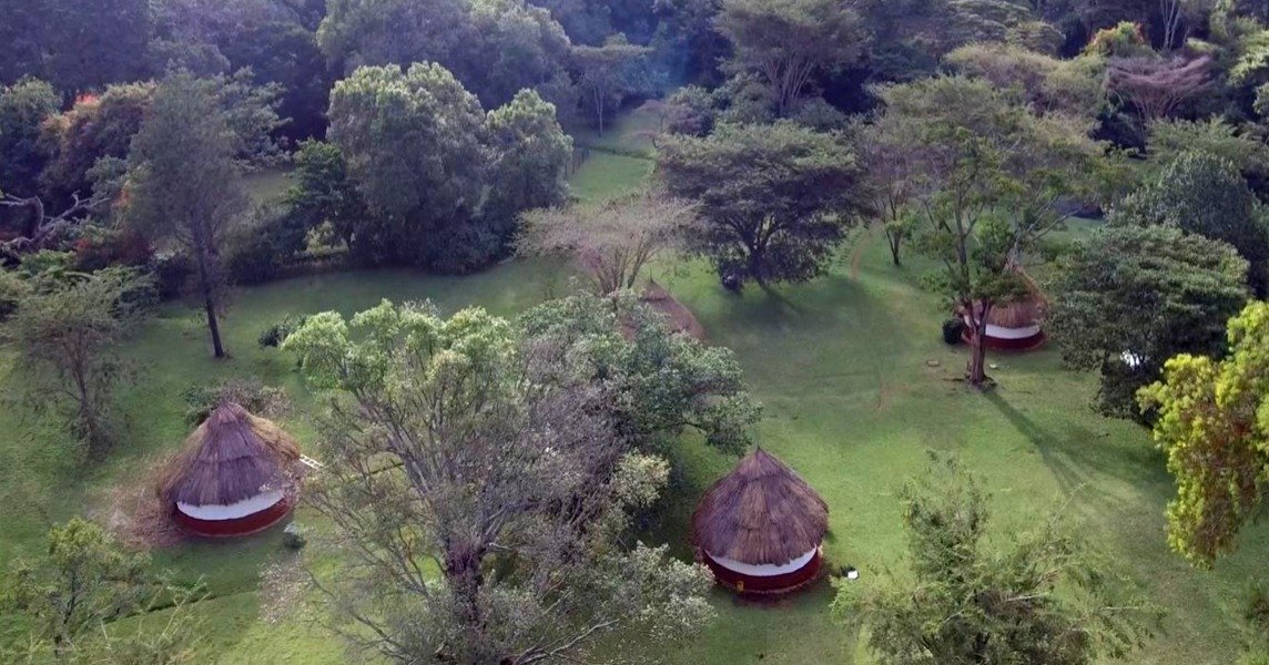 Les bandas et les arbres du domaine vus du ciel