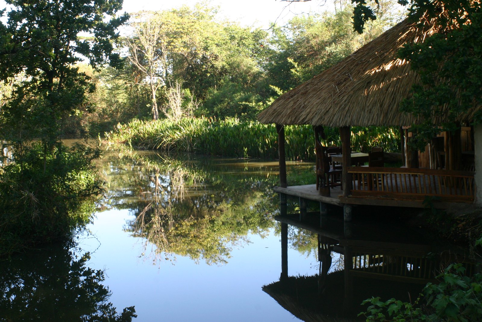 Le restaurant et la végétation autour de l’étang de Muringa Farm